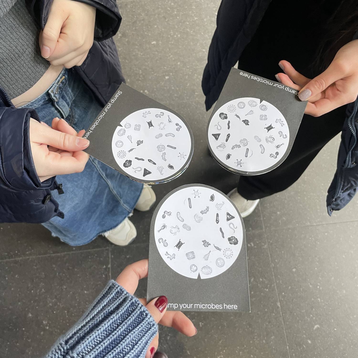 Three study abroad participants holding Stamp your Microbes Here cards for microbe exhibit